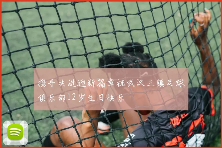 携手共进迎新篇章祝武汉三镇足球俱乐部12岁生日快乐